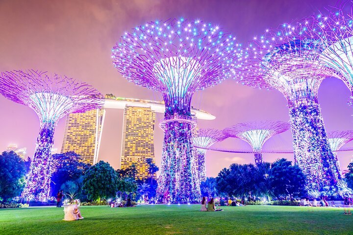 Gardens to Galaxies: A Family Voyage in Singapore